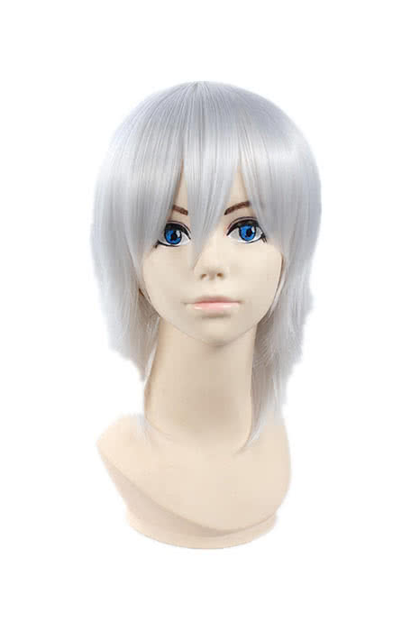 Rolecos Hijikata Toshizo Cosplay Wig - Hakuouki Silver White 35cm