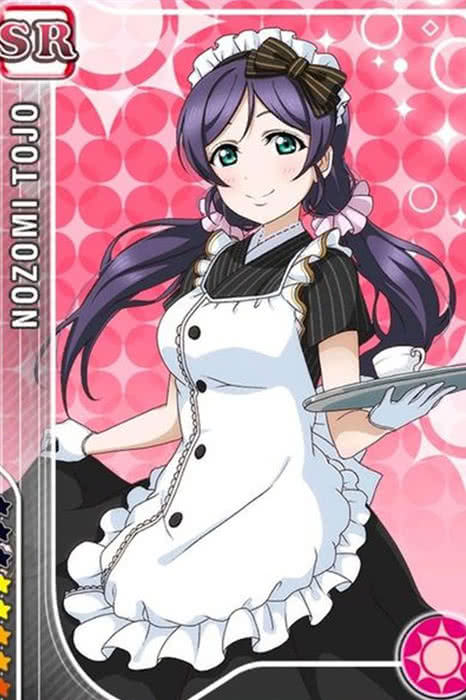 High Quality Anime Costumes Love Live Maid Uniform Set - Love Live