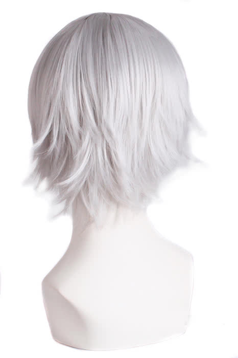 Rolecos Miketsukami Soushi Cosplay Wig - Inu x Boku SS Silver Grey 30cm
