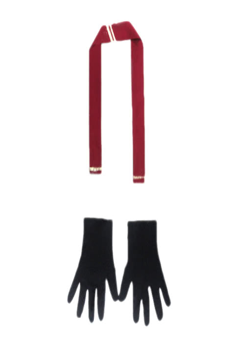 Sword Art Online Salamander Klein Full Set Cosplay Costume - Coat Pants Belt Gloves Armor