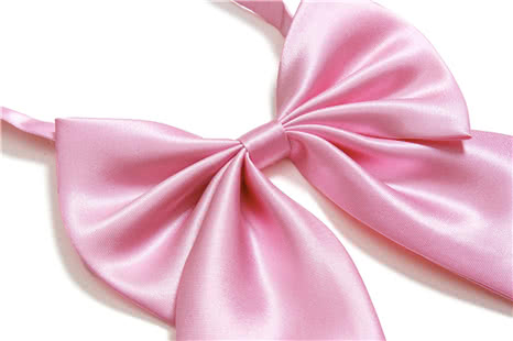 Pink Big Bow Tie for Schoolgirl Cosplay - Lovely Hair Accessory