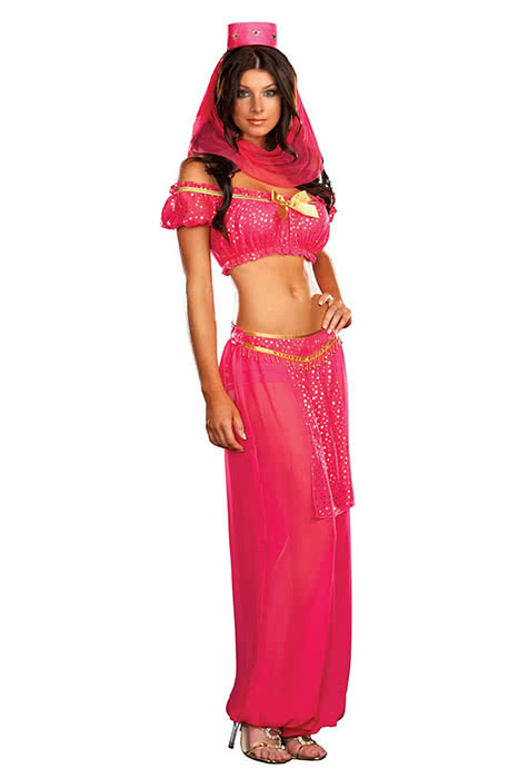 Rolecos Genie Belly Dancer Costume - Halloween Fancy Dress