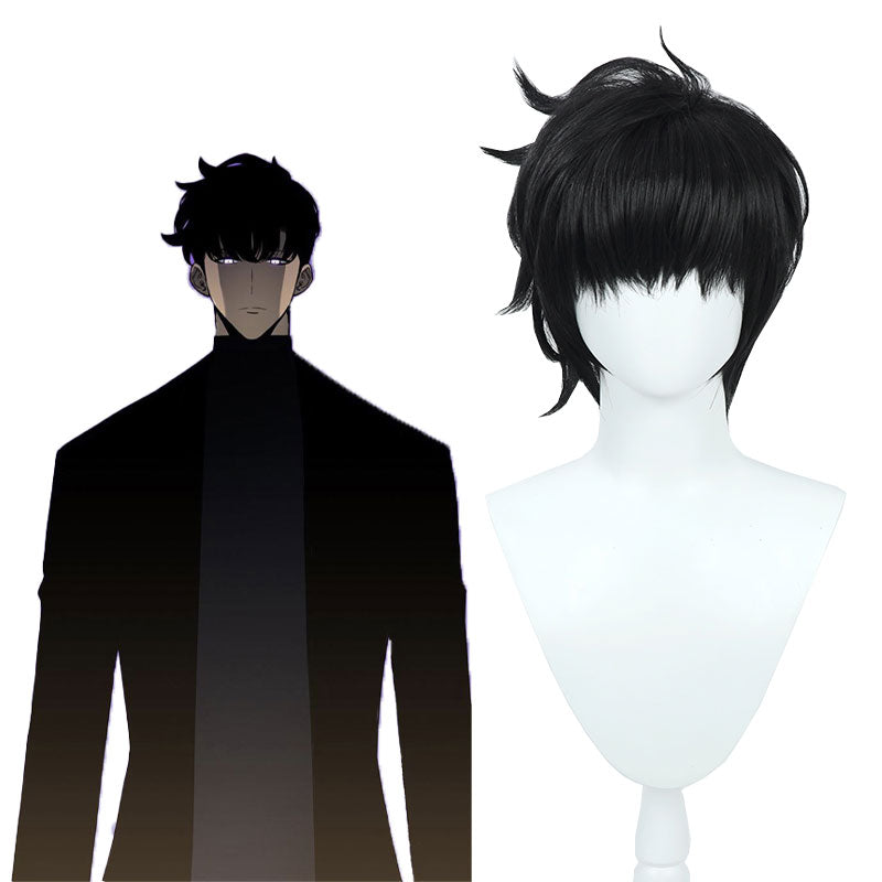 Rolecos Sung Jinwoo Cosplay Wig - Solo Leveling