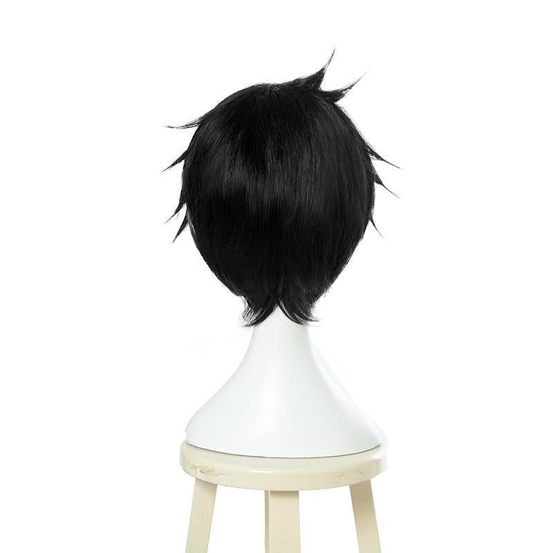 The Rising of the Shield Hero Naofumi Iwatani Black Short Straight Cosplay Wig - 25cm Synthetic Hair