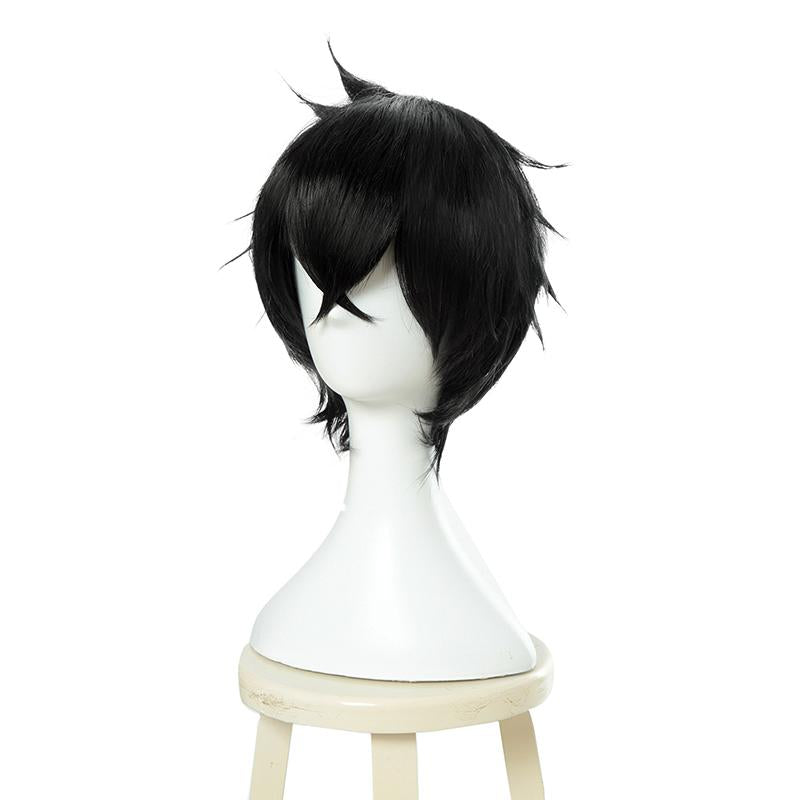 The Rising of the Shield Hero Naofumi Iwatani Black Short Straight Cosplay Wig - 28cm Heat Resistant Fiber