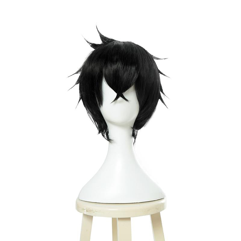 The Rising of the Shield Hero Naofumi Iwatani Black Short Straight Cosplay Wig - 28cm Heat Resistant Fiber