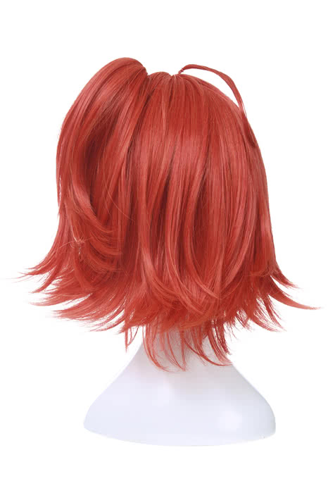Rolecos Olgamally Animusphere Short Straight Cosplay Wig - Fate/Grand Order