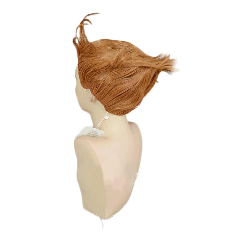 12 Taisen Juuni Taisen Sharyuu Brown Short Straight Cosplay Wig - 30cm Synthetic High Temp Fiber